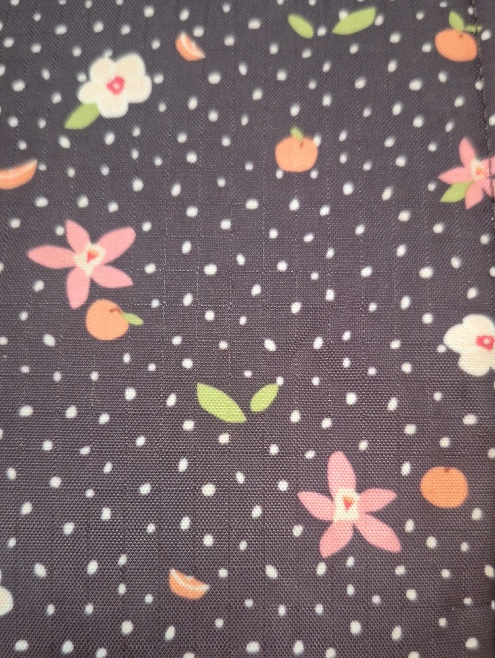 LeSportsac Polkadot Citrus Floral Backpack Nylon Ripstop Fruit Print School Bag